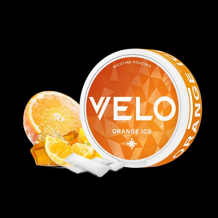 Velo Orange Ice Pouches
